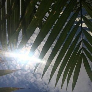 Meet your Posher, Earlene